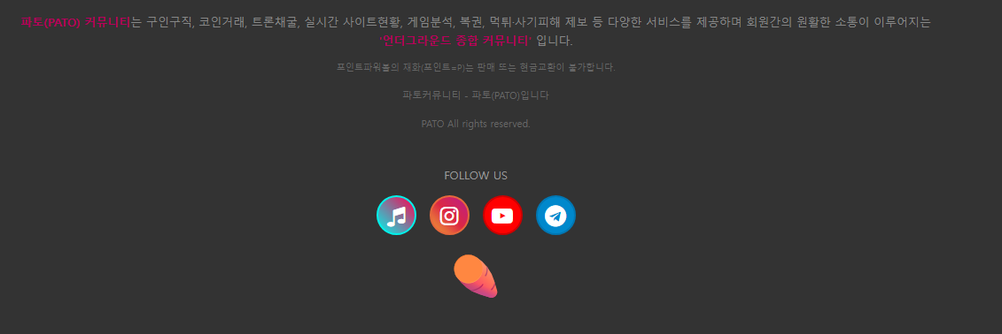 파토커뮤니티 푸터의 SNS 채널 아이콘(틱톡, 인스타그램, 유튜브, 텔레그램)